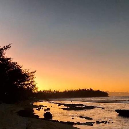 Moorea Temae Bungalow Lory Bord De Mer Bagian luar foto