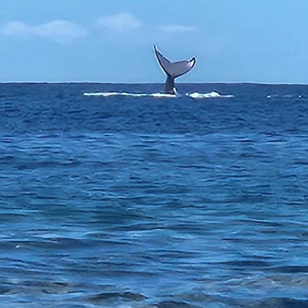 Moorea Temae Bungalow Lory Bord De Mer Bagian luar foto