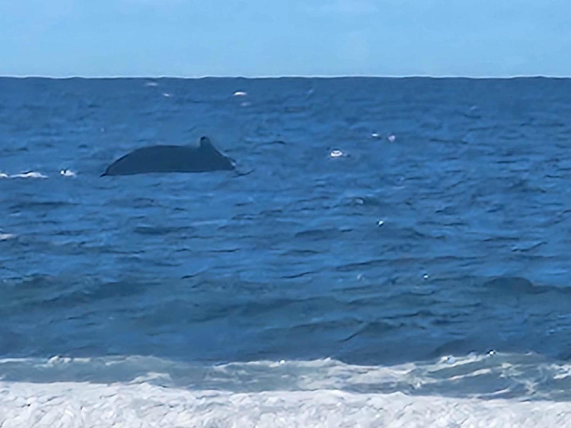 Moorea Temae Bungalow Lory Bord De Mer Bagian luar foto