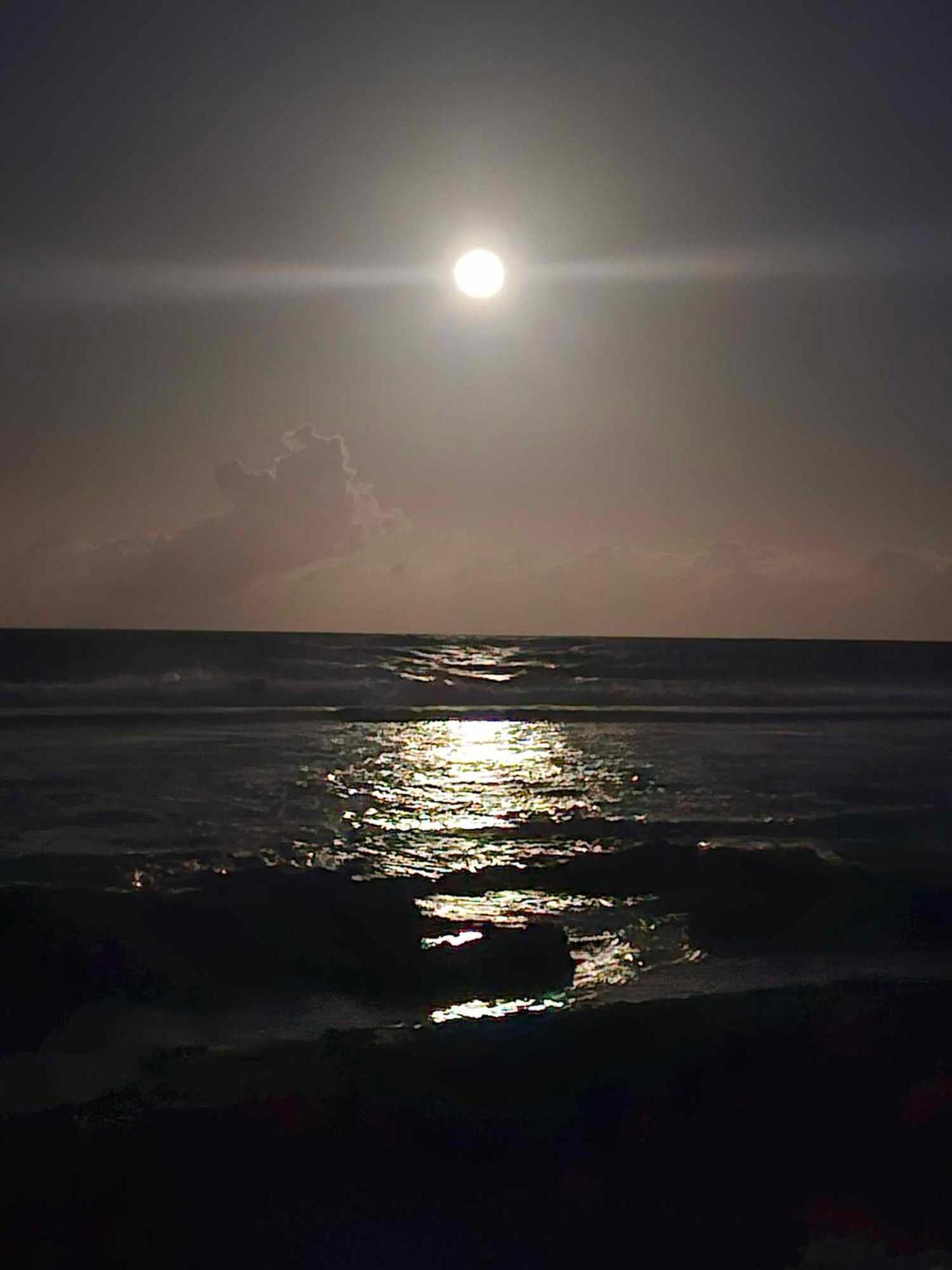 Moorea Temae Bungalow Lory Bord De Mer Bagian luar foto